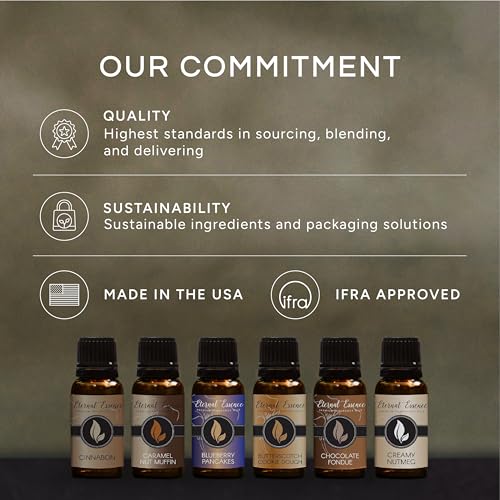 Eternal Essence Oils Beach Set: 6 Premium 10ML Fragrance Oils