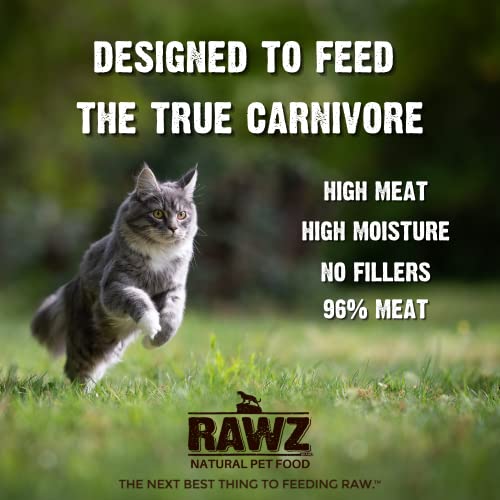 Rawz Natural Premium Pate Canned Cat Wet Food - Made with Real Meat Ingredients No BPA or Gums - 5.5oz Cans 24 Count (Rabbit)