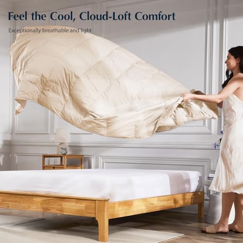 Image of Pacific Coast Lightweight Goose Feather Down Fiber Comforters Queen Size, Summer Duvet Insert, Ultra Soft, Breathable, Hotel Luxury Bedding Comforter with 8 Tabs, Beige, 90 x 90 inches