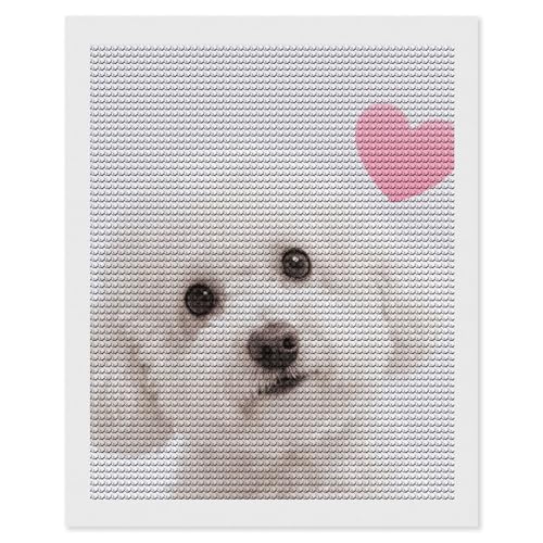 Kit peinture diamant 5D FodPand 40x50 cm avec strass ronds pour adultes débutants