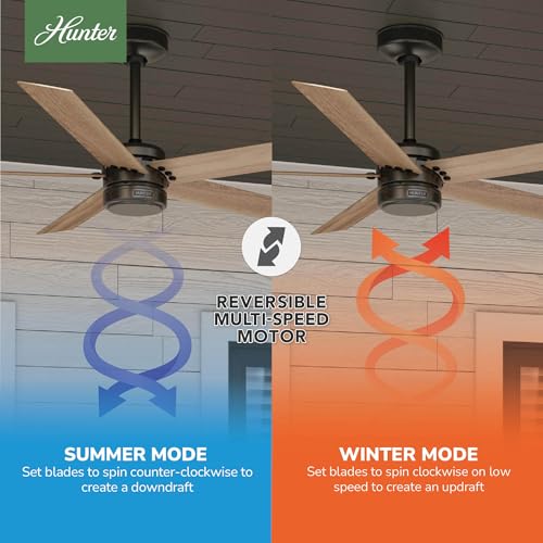 Image of Hunter Burton, Outdoor or Indoor, Ceiling Fan, 52 inch, Noble Bronze