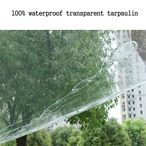 Lona impermeable para jardín de PVC transparente a prueba de lluvia 5
