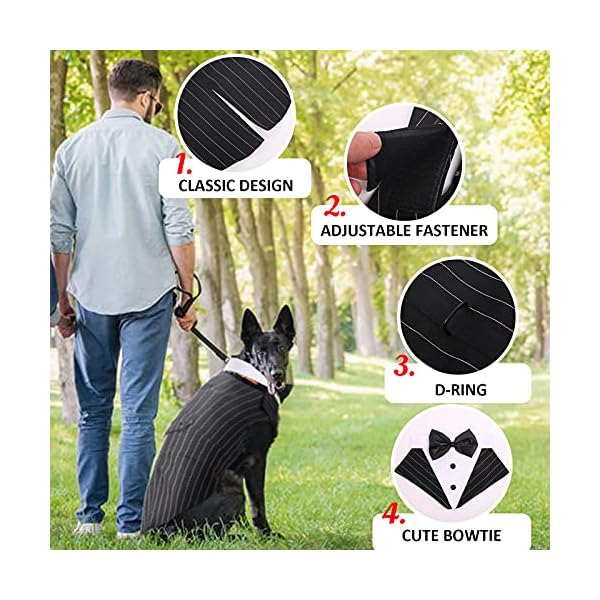 Dora bridal formal dog tuxedo for medium large dogs, labrador pet wedding party suit outfit with detachable bowtie collar neckerchief bandana, dress-up halloween costumes handsome elegant cosplay - image 5
