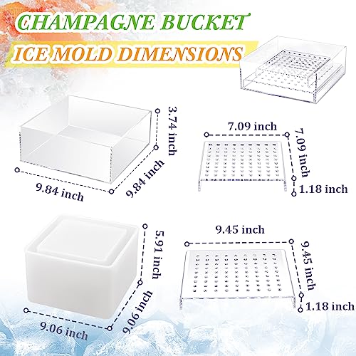 Molde de Hielo para Botella x4 con Cubo Champagne miniatura 2