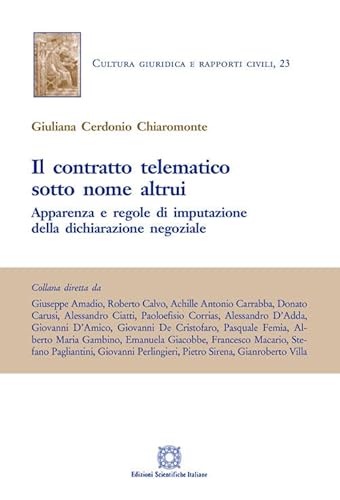 Il Contratto Telematico Sotto Nome Altrui. Apparenza E Regole Di Imputazione Della Dichiarazione Negoziale