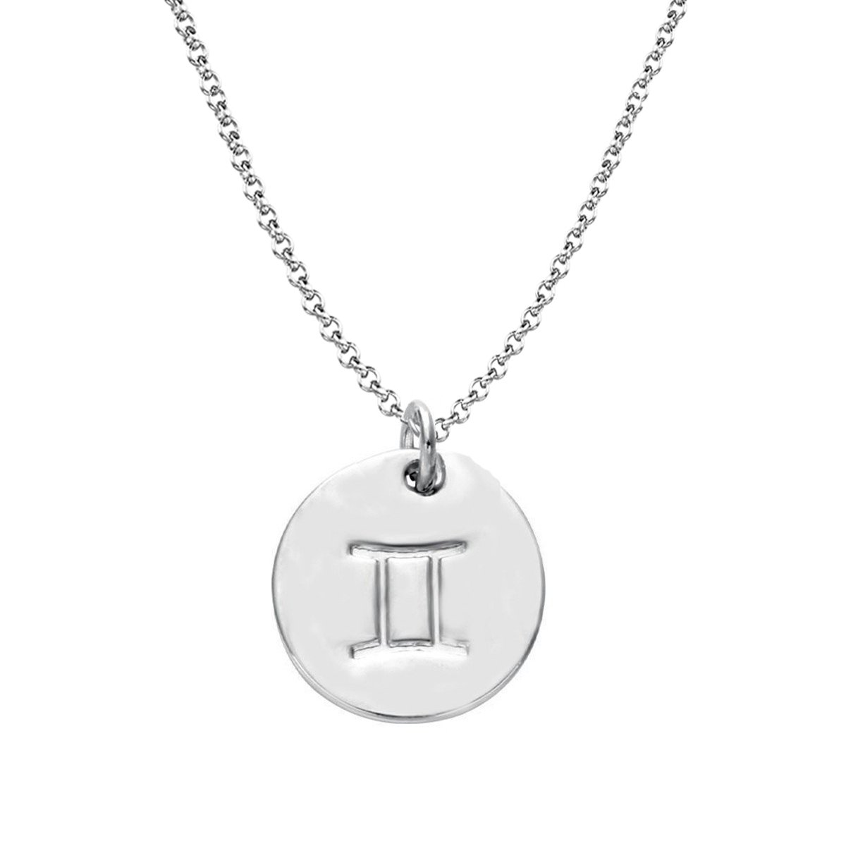 925 Sterling Silver Zodiac Necklace Disc Charm Necklace Gift for Your Wife Girlfriend or Family Member