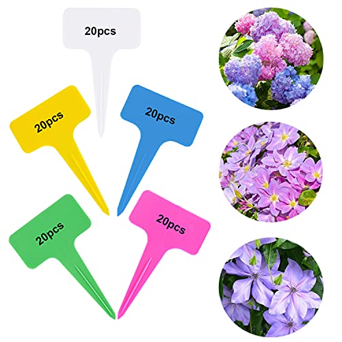 SPCCL 100pcs Plastic Plant T-Type Tags, T-Type Plant Tags, Plant Labels, Plant Tags, Plant Markers, Garden Labels, for Nursery Flowers Potted, 5 Colors