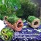 Aquarium Ring Wasserpflanzen,15 Stück Aquarium Filter Ringe,Filtermedium Filtermaterial,Aquarium Zubehör,Aquarium Filter Ringe,Aquarium Wasserflora Landschaftsbau Aquarium Keramikringe Aquarium Deko