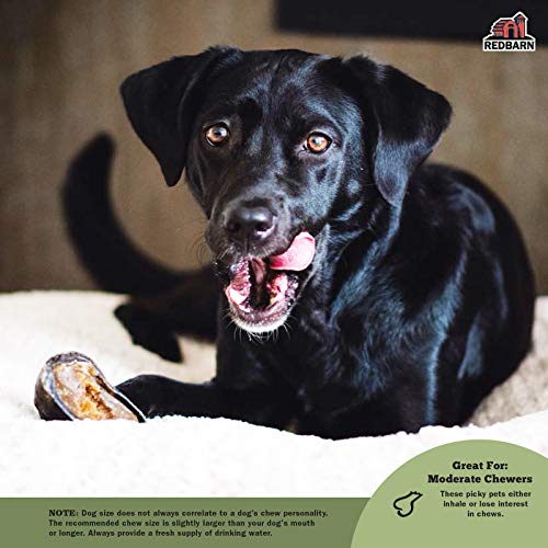 Redbarn-Filled-Hooves-Cheese-n-Bacon-for-Dogs-Pack-of-25 Redbarn Filled Hooves Cheese n Bacon for Dogs Pack of 25