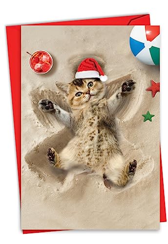 NobleWorks NX}XTL[O[eBOJ[h 5 x 7C`̕t (J[h1) zf[ThGWF C6844BXTG