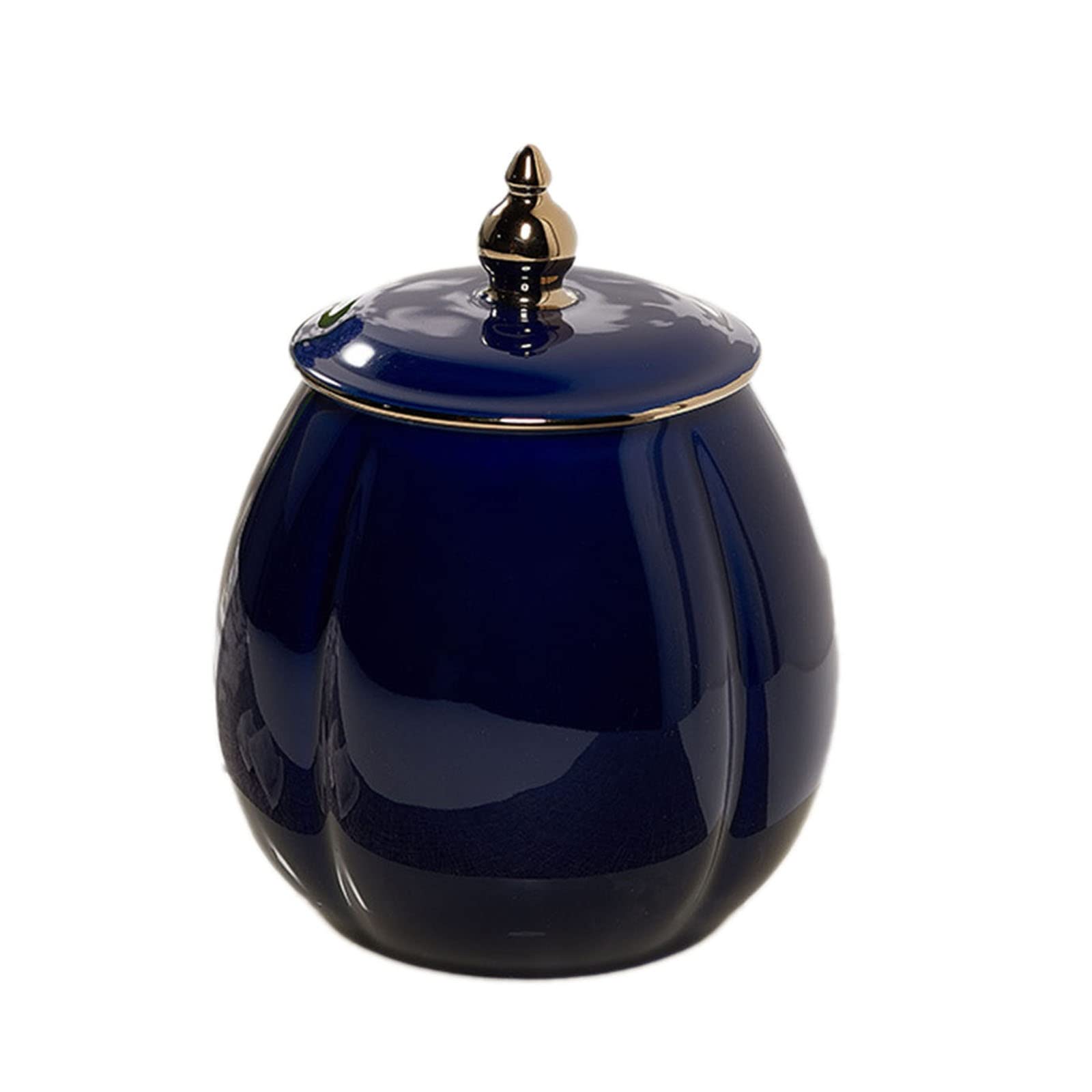 FZYOZZDPASL Ceramic Tea Canister Ceramic Tea Caddy Storage Sealing Jar for Coffee, Spices(Blue)