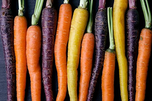 Colores Zanahorias Mezcla - Mín. 100 Semillas