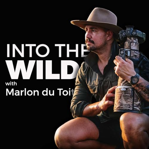 Into the Wild with Marlon du Toit cover art