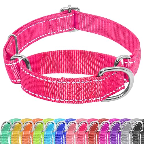 Seyezo Martingale Dog Collar, Slip Martingale Collar for Dogs with No Buckle, Reflective Pet Trainning Collar for Small Medium Large Dog, Adjustable Heavy Duty Nylon No Pull Slip Collar, M, Hot Pink