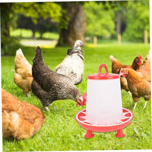 Comedero para gallinas extraíble que evita el desperdicio de comida 8