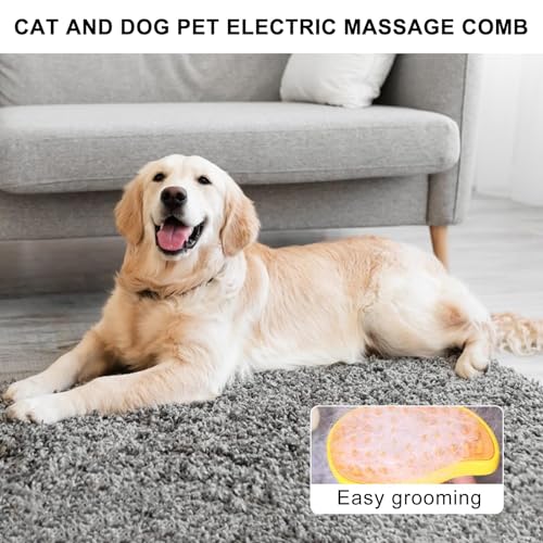 Brosse Chien Chat à Vapeur, 3 En 1 Peigne De Massage En Spray Pour Chats, Brosse à Chat Rechargeable, Avec Réservoir D'eau, Brosse Pour Chats à Poils Courts Et Longs, Idéal Pour Massage,Soin (Vert) - Image 7