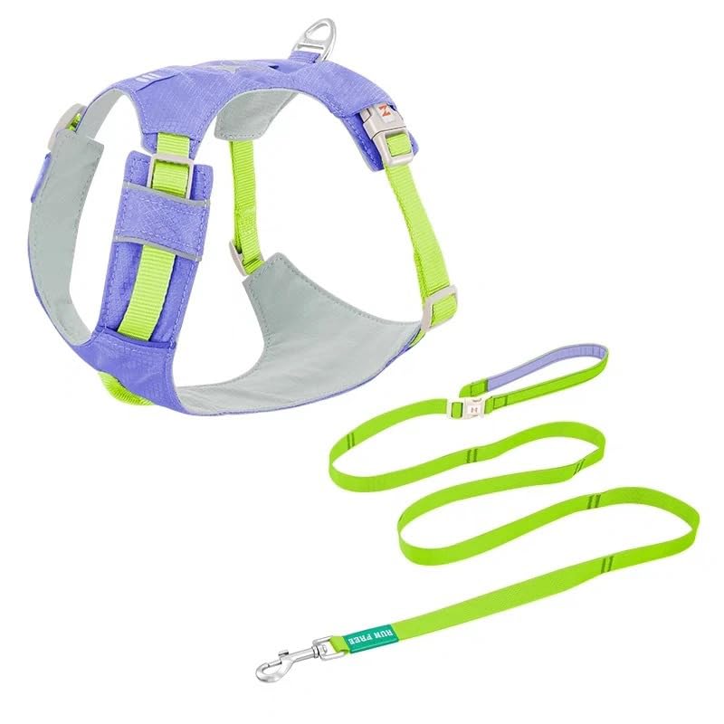 Correa y arnés de nailon para perros – Ajustable para perros pequeños, medianos y grandes (Teddy, Corgi, etc.)(Mangosteen Purple,M)