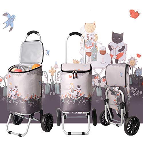 Chariots pliables légers pour transporter vos courses sans effort au sol