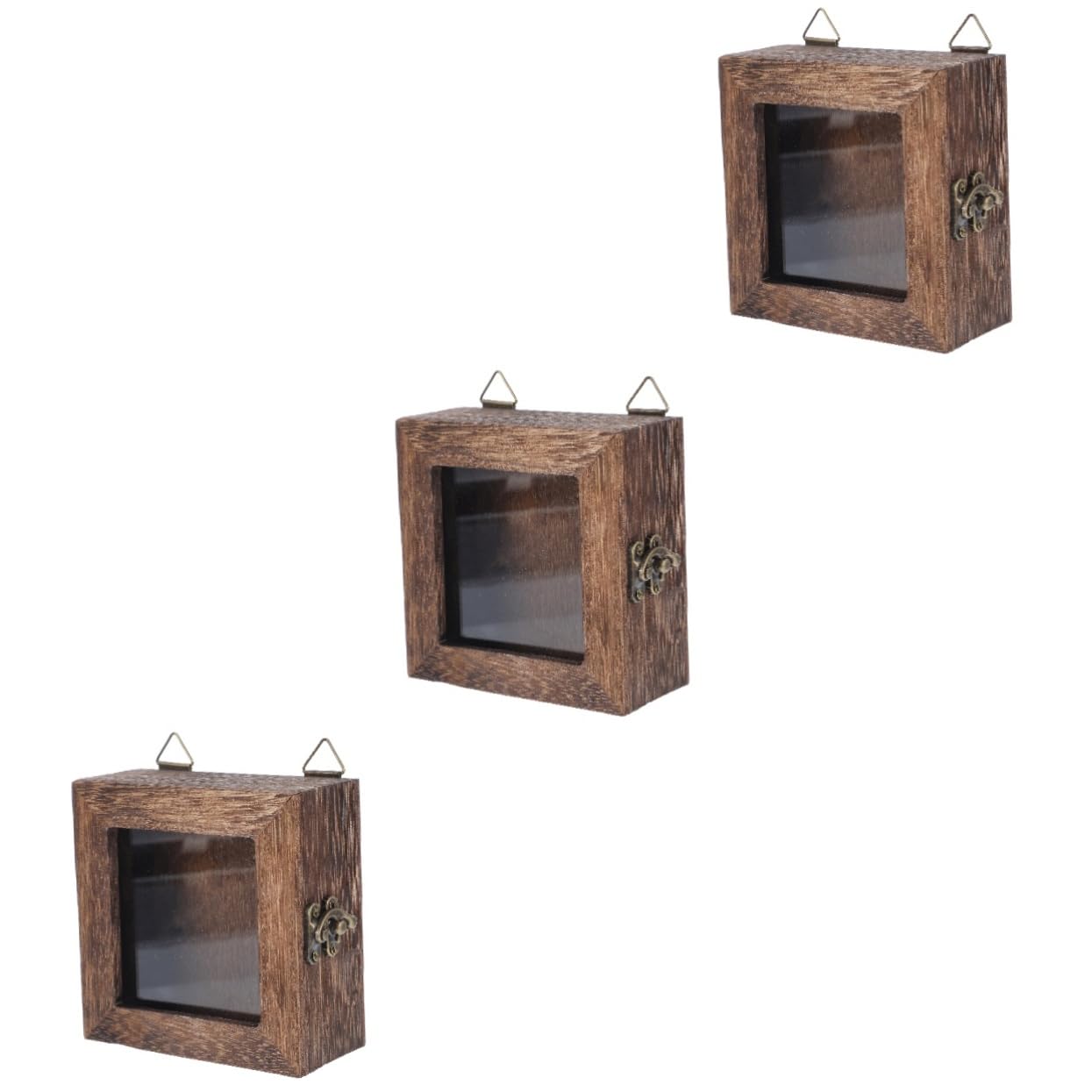 Holibanna 3pcs Box Creative Photo Frame Specimen Display Case Pressed Flower Frame for Jewelry Coins Crafts