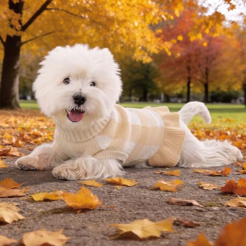 Image of Dog Sweater Dress Plaid Knitwear for Small Dogs Girl Christmas Clothes
