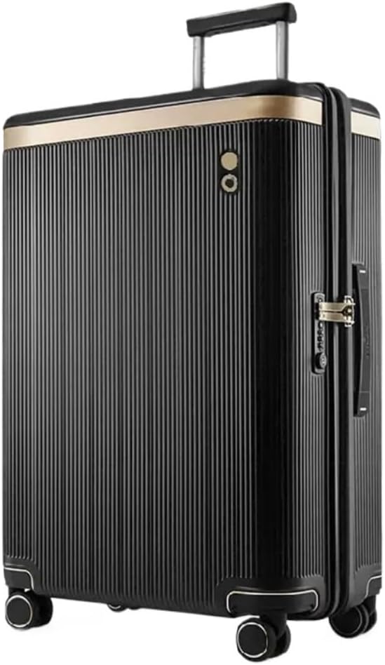 未使用 4/4フルサイズ バイオリンケース GEWA Gambara ケース