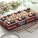 The Swiss Colony Merry Christmas Petits Fours Cakes, Gourmet Mini Layer Cakes in Red Velvet, Strawberry, Chocolate, and Vanilla, Holiday Dessert Cake Assortment