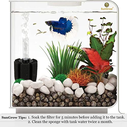 Image of SunGrow 10-Gallon Betta Sponge Filter, Underwater Center Aquarium Filter, Attach it to Air Pump (Not Included) to Run, Works for Tropical Fish & Breeder Aquarium, Perfect for Fry & Small Fish