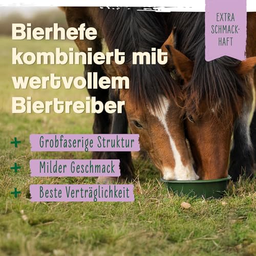 Ida Plus - Bierhefe Bt - 6kg - Futterergänzung für Pferde & Ponys - für glänzendes Fell & kräftige Haut - unterstützt Verdauung & Darmflora - reich an B-Vitaminen, Mineralien & Spurenelemente