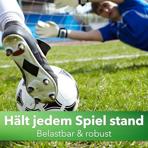 Hesa Sportrasen, 1 kg Strapazierrasen für ca 40 m², schnellkeimende Premium Rasensamen für starke Beanspruchung, Fussballrasen, Sportplatzrasen in Profiqualität, auch für Nachsaat