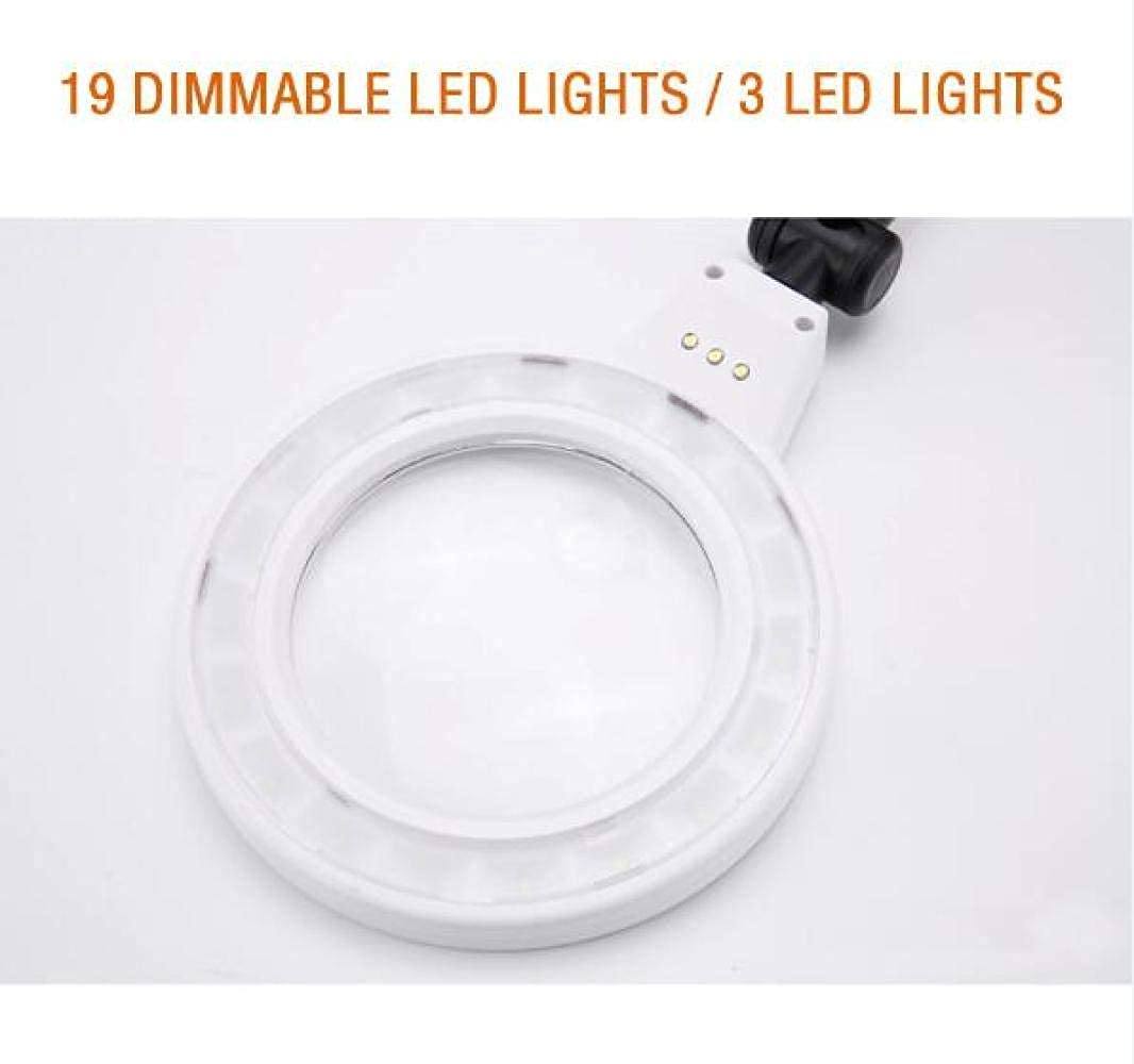 JOZZY Lupa,Lámpara de Escritorio Plegable con 19 LED Regulables y 3 Luces LED de luz Diurna, 2X 5X Mesa Manos Libres - Manualidades Lectura Joyería Soldadura Costura Hobby Inspección Universal