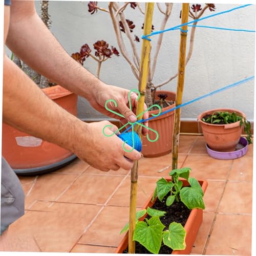 Image of BESPORTBLE Plant Support Stakes for Indoor Plants, 8Pcs Plastic Climbing Houseplant Stem Supports Reusable Plant Climbers Stem Holders Growth Accessories for Plant