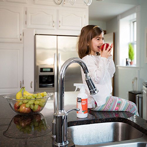 Better-Life-Natural-Fruit-and-Vegetable-Wash-16-Ounces-24143