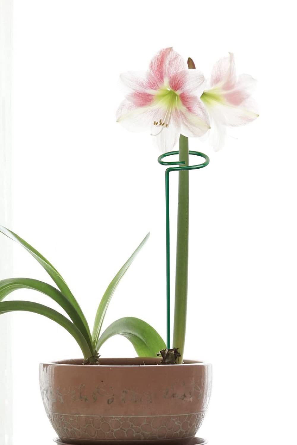Support Tige Plantes Métal - 5 Tuteurs Verts 40cm Pour Fleurs Et Rosiers