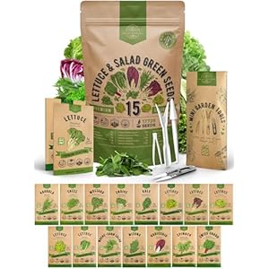 Organo Republic 15 Lettuce & Salad Greens Seeds Variety Pack 17700+ Non-GMO Heirloom Lettuce Seeds for Indoors & Outdoors Garden, Hydroponics, Aerogarden – Arugula, Kale, Spinach, Swiss Chard, Lettuce