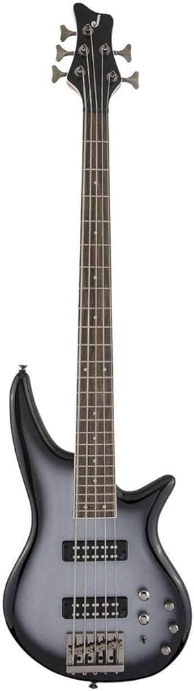 Amazon.com: Jackson JS Series 5-String Spectra Bass JS3V