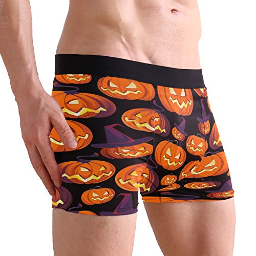 ZZKKO Raccoon Mens Boxer Briefs Underwear Breathable Stretch Boxer Trunk with Pouch S-XXL4