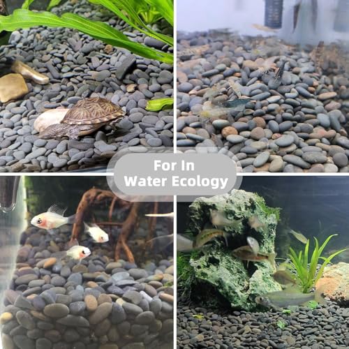 Image of 45lb River Rocks Pebbles for Plants & Succulents, Decorative Outdoor Landscaping Garden Rocks, Natural Small Mexican Beach Pebbles Aquarium Rocks Gravel for Fish Tanks Vase Yard Decor