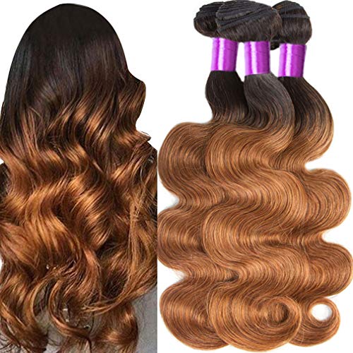 Ombre Human Hair Body Wave Bundles Ombre Brazilian Virgin Hair Weaves Bundles 1b/30 Two Tones Black to Auburn Brown Ombre Bundles 20 22 24 Colorful Bird
