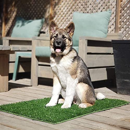Image of Hompet Dog Grass Pads, Puppy Turf Potty Training Pads, Artificial Turf for Dog Systems Replacement Grass Mats, Easy to Clean with Fast Drain Holes, Indoor /Outdoor Garden Lawn Patio Balcony 28 inchx18 inch