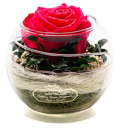 Rosen-Te-Amo GSF-RPXRE-001 Infinity Flower and Composition - Flores duraderas, Color Rojo, Color Rosa, Kugel Vase
