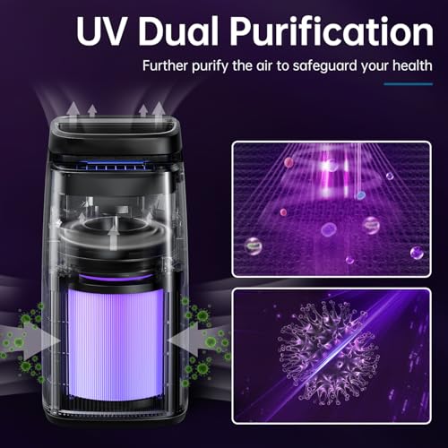 Portable Air Quality Purifier Necklace