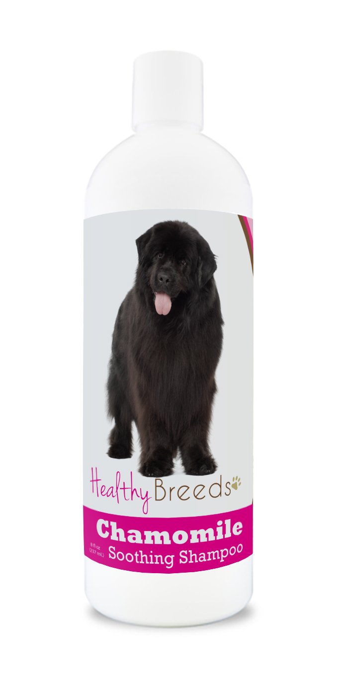 Healthy Breeds Yorkshire Terrier Chamomile Soothing Dog Shampoo 8 oz — view 189
