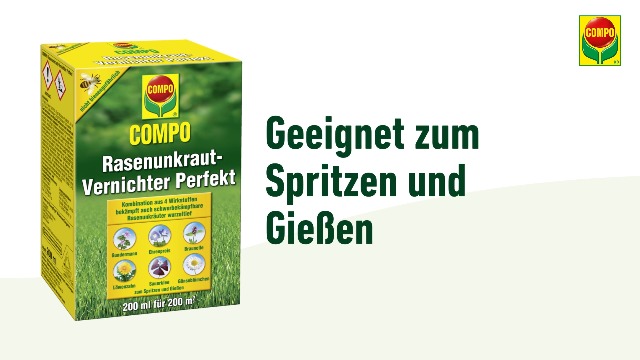 COMPO Rasen Unkrautvernichter Perfekt