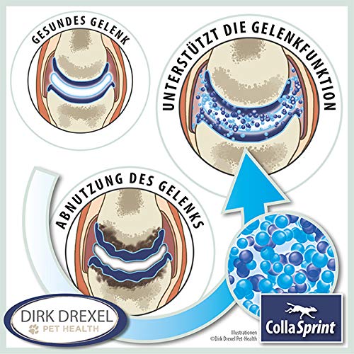 Dirk Drexel Collasprint mit Hyaluron I Hochwertiges Kollagen für Hunde in Pulverform I Unterstützt die Gelenke und Agilität I 250 g