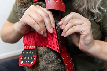 サムライ猫　③ 楽天市場】御の猫 1/6 戦国時代 武士 侍 風林火山 男 可動