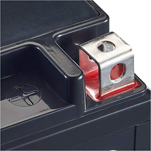 Accurat motorfietsaccu YTX5L-BS 5 Ah 100 A 12V gel-technologie startaccu in OEM-kwaliteit cyclusvast veilig opbergbaar… - Afbeelding 4