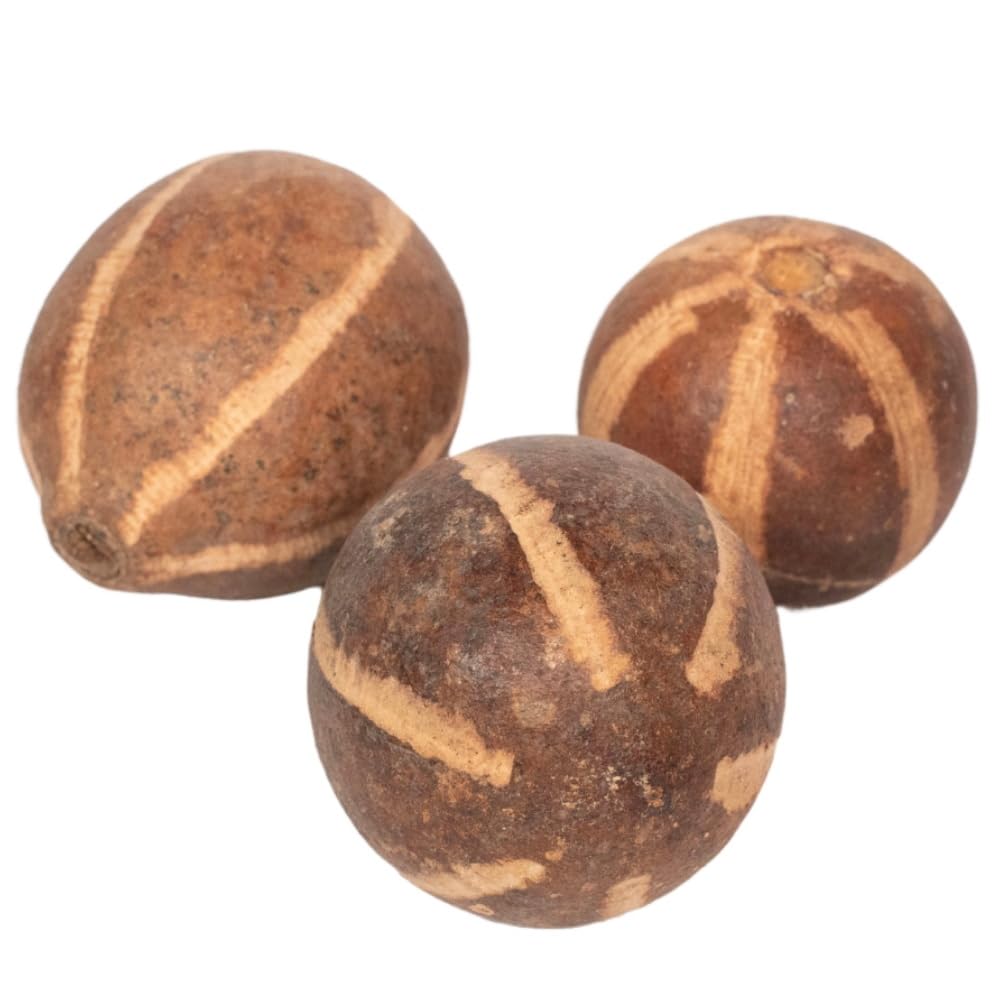 Rainbow Eco Play Natural Bellani Pumpkins, Autumn Decorations, Festive Floristry and Display, Seasonal Arrangements, Halloween Crafts, Decorations, Wreath Making, Garlands, Home Décor - 5pcs