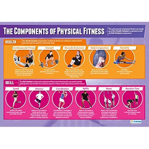 Components of Physical Fitness Classroom Poster - EXTRA LARGE 33” x 23.5” - Laminated - Physical Education Middle & High School Class Decor - Wall Charts by Daydream Education. Cover