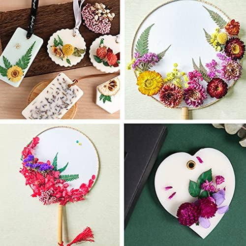 Tomedeks Natural Dried Flowers, Real Dried Embossing Mixes Variety of Dried Leaves Colorful DIY Resin Jewelry Nail Crafts Floral Decor for Scrapbooking (B)