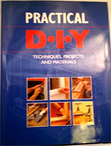Practical Diy 0316860824 Book Cover